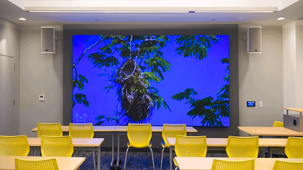 LED Video Wall Examples & Ideas