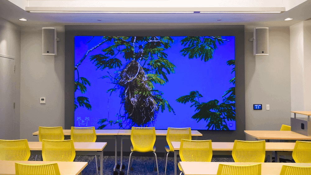 A classroom with beige walls, long tables and yellow rolling chairs. At the front of the space is an LED wall displaying an image of tree branches and a nest against a blue sky.