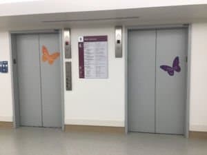 two elevators with butterflies