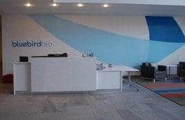 A wall behind a reception desk prominently displays the company's name alongside a large blue design that stretches across the entire length of the wall.