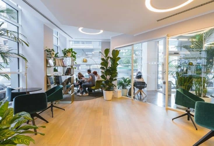  A light and airy office space with a wood floor, white walls and large windows that let in natural light. Plants are placed throughout the room, both on the flor and on a book shelf toward the back. Behind the bookshelf, a group of people are seated around a table.