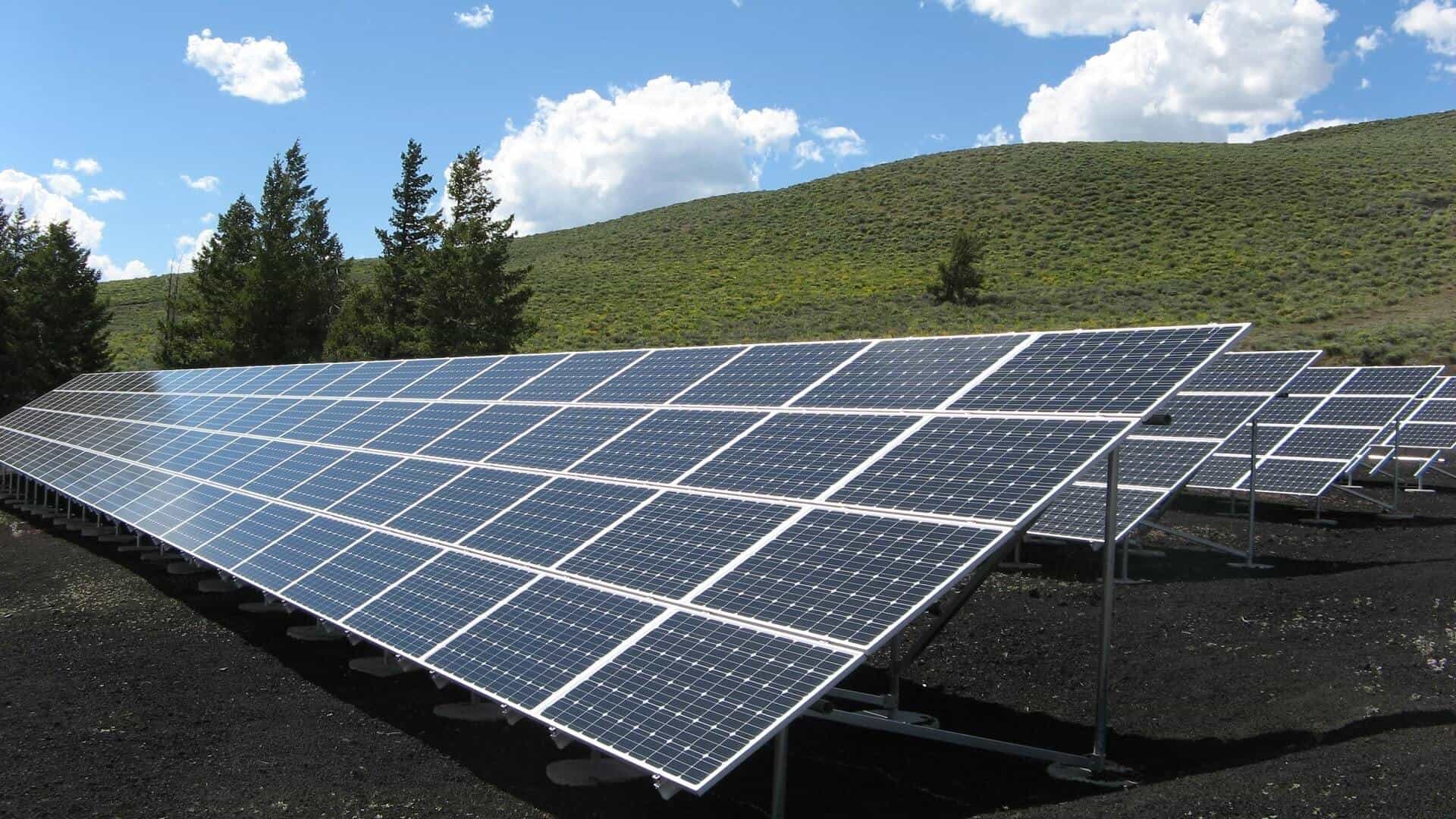 Four-rows-of-solar-panels-standing-on-the-side-of-a-hill-with-pine-trees-in-the-background.